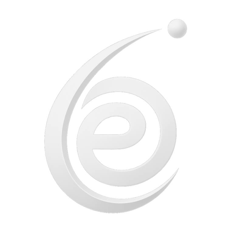 eBusiness México